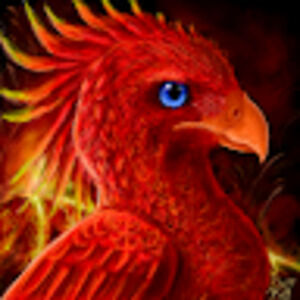 Meet your Posher, Phoenix